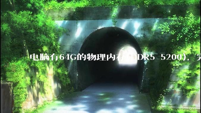 电脑有64G的物理内存(DDR5 5200)，完全够用了，可以关闭系统的虚拟内存吗？