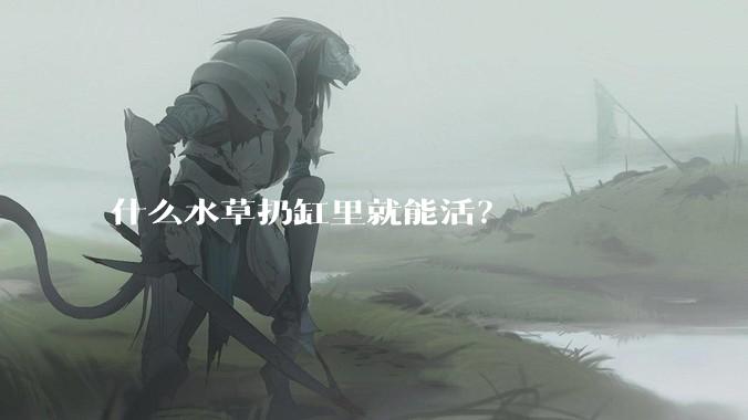 什么水草扔缸里就能活？