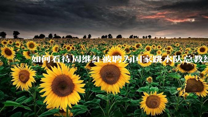 如何看待周继红被聘为国家跳水队总教练?