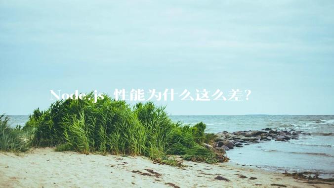 Node.js 性能为什么这么差？