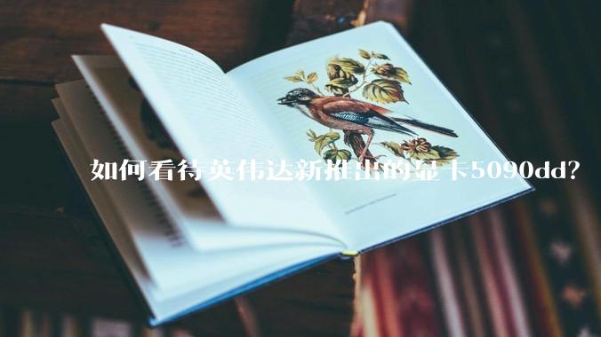 如何看待英伟达新推出的显卡5090dd？