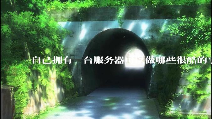 自己拥有一台服务器可以做哪些很酷的事情？